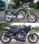 suzuki_vx_800.jpg